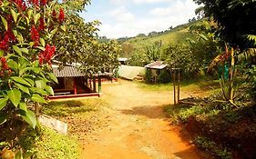 Alojamiento Rural Café Yarumo